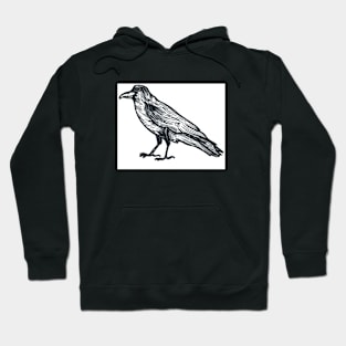 Crow Hoodie